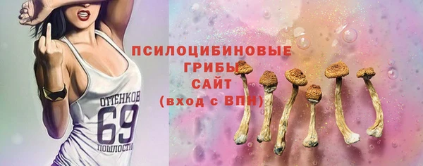 тгк Горно-Алтайск
