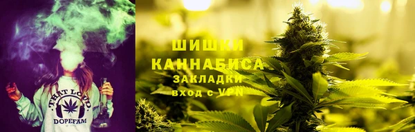 тгк Горно-Алтайск