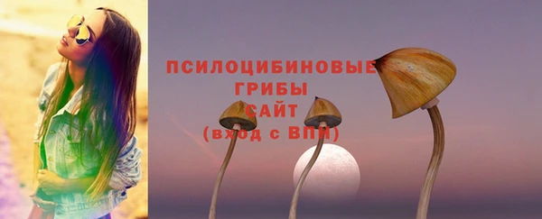 MESCALINE Горняк