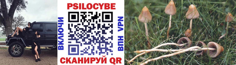 Купить  Лениногорск  Псилоцибиновые грибы мицелий 